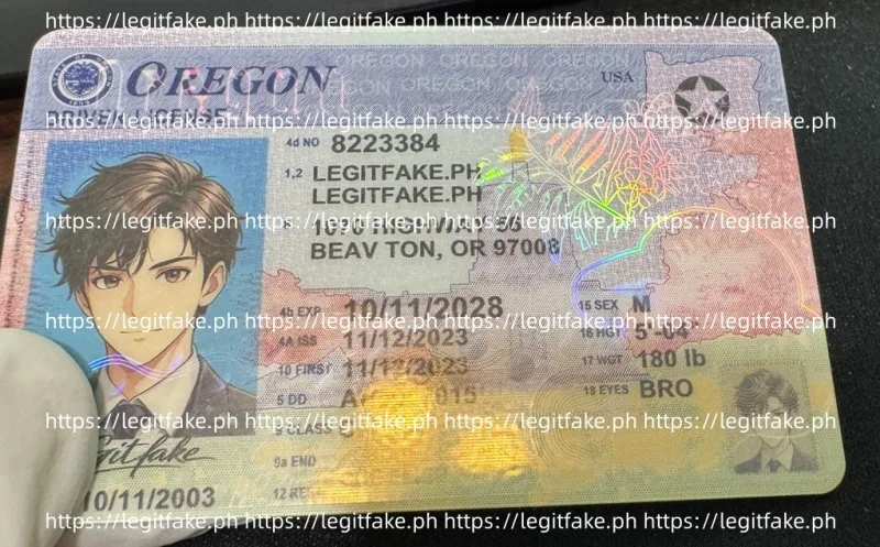 Oregon ID - usa or Fake ID - Image 4
