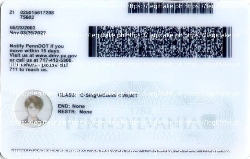Pennsylvania ID - usa pa Fake ID - Image 2