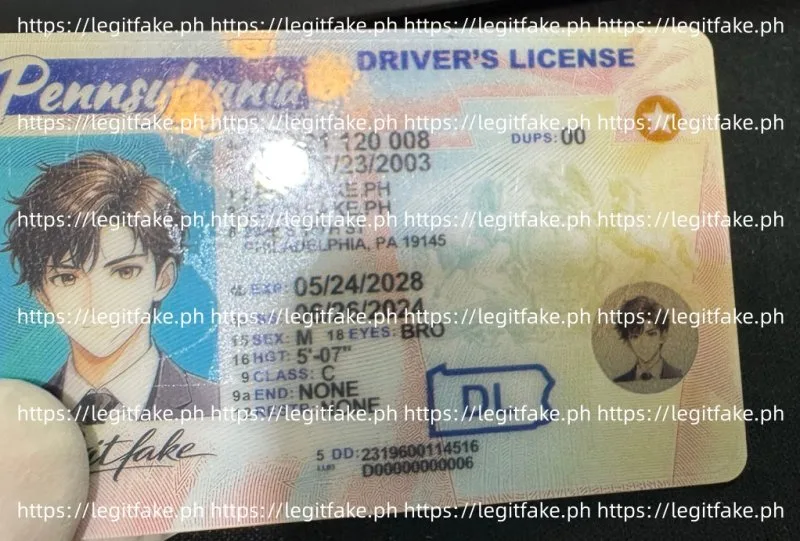 Pennsylvania ID - usa pa Fake ID - Image 3