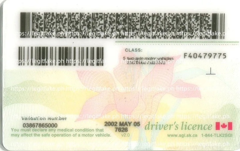 Saskatchewan ID - canada sk Fake ID - Image 2