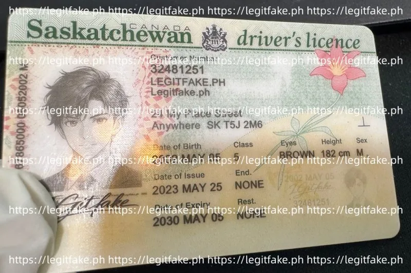 Saskatchewan ID - canada sk Fake ID - Image 3