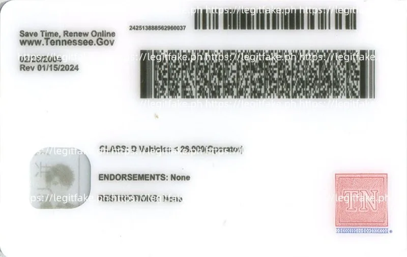 Tennessee ID - usa tn Fake ID - Image 2