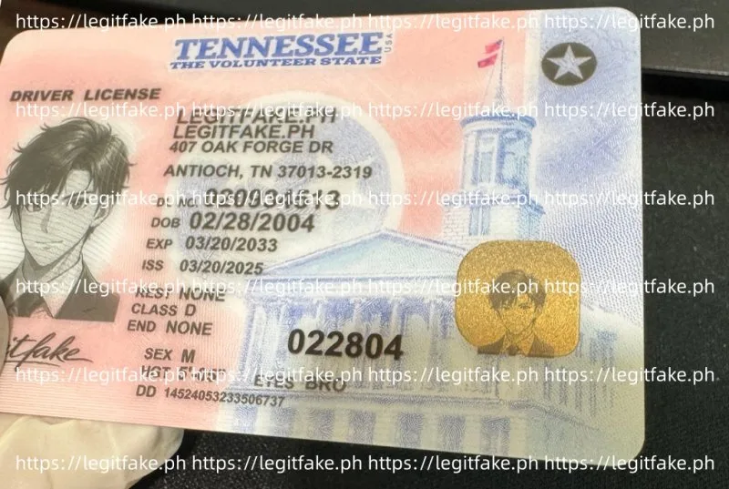 Tennessee ID - usa tn Fake ID - Image 4