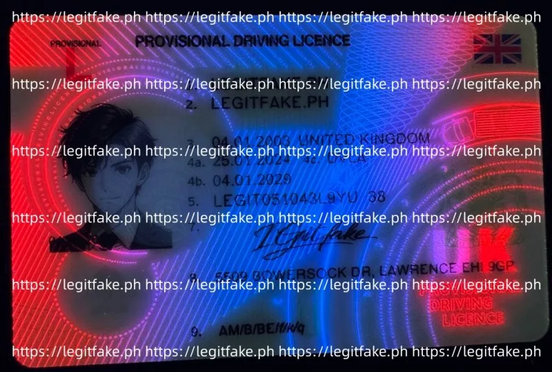 UK (PROVISIONAL) ID - uk eng Fake ID - Image 4