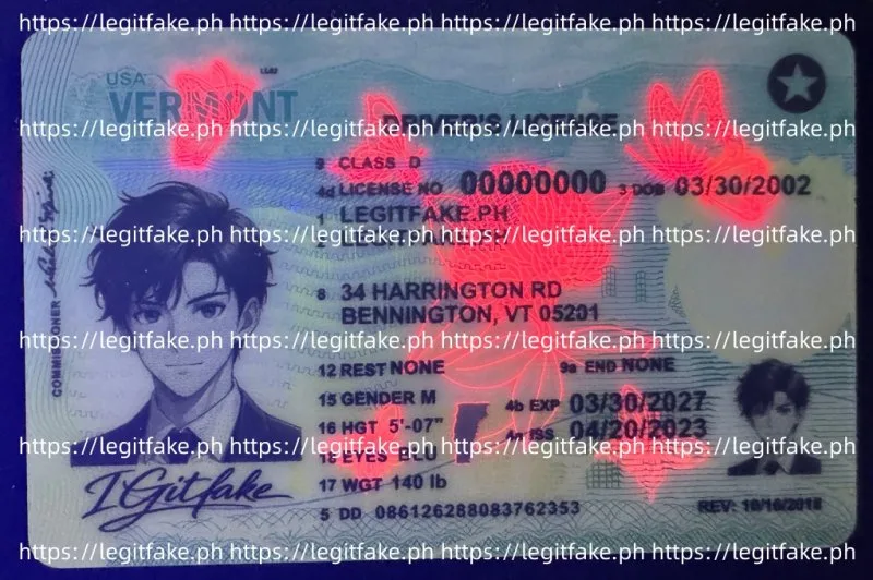 Vermont ID - usa vt Fake ID - Image 3