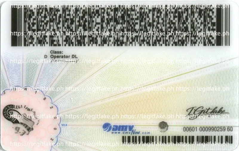 Virginia ID - usa va Fake ID - Image 2