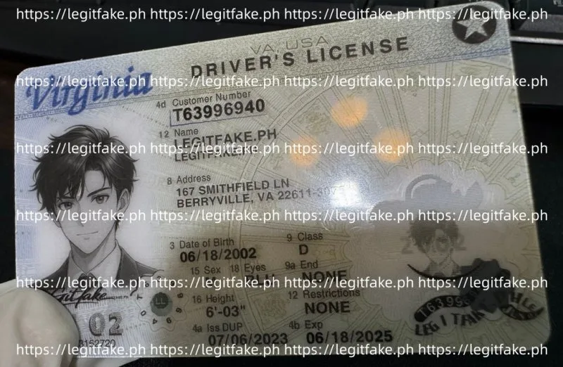 Virginia ID - usa va Fake ID - Image 3