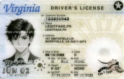 Virginia ID - usa va Scannable Fake ID