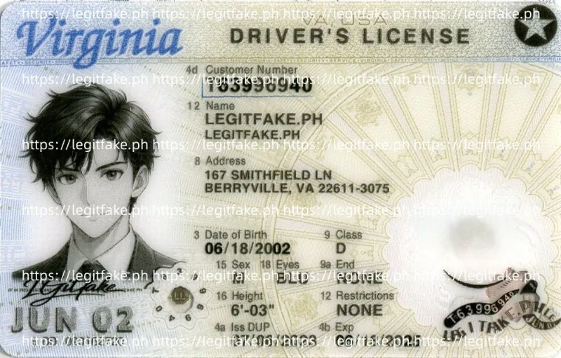Buy Virginia ID Fake ID Online