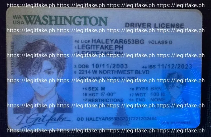 Washington ID - usa wa Fake ID - Image 3