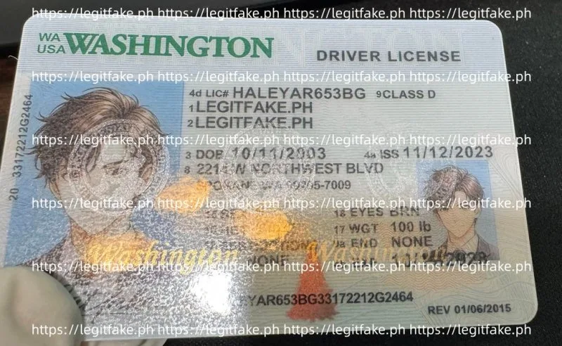 Washington ID - usa wa Fake ID - Image 4