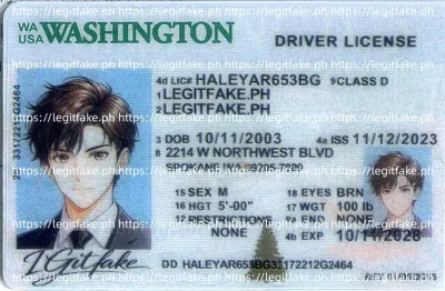 Washington ID - usa wa Scannable Fake ID