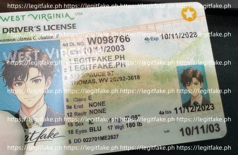 West Virginia ID - usa wv Fake ID - Image 3