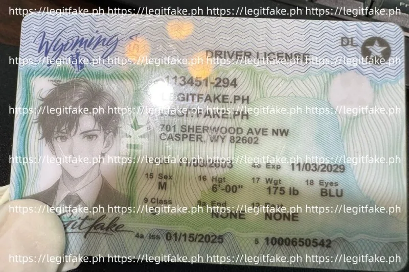 Wyoming ID - usa wy Fake ID - Image 4