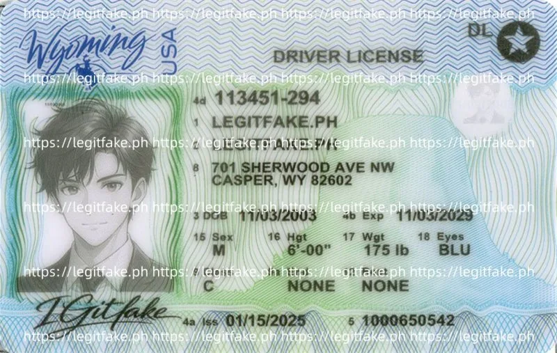Wyoming ID - usa wy Fake ID - Image 1